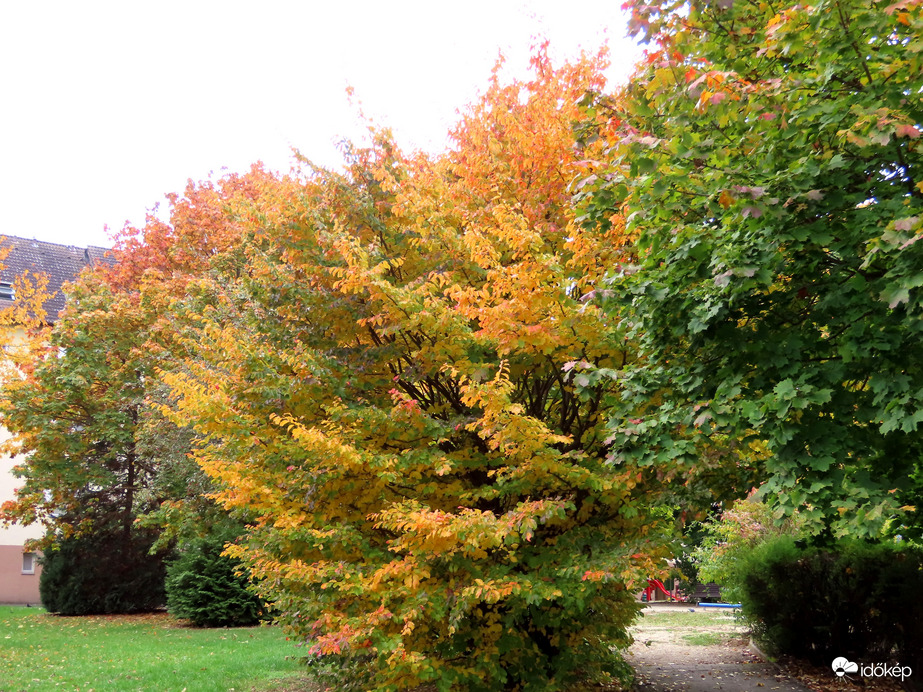 Lakótelepi ősz