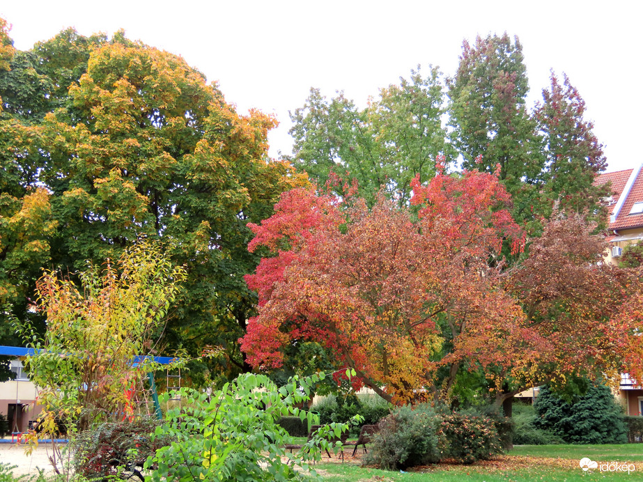 Lakótelepi ősz
