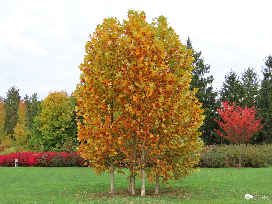 Egyre vörösebb az "ötösikrek" ruhája