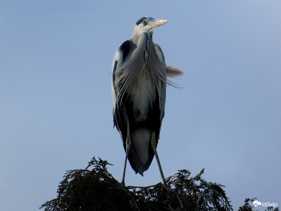 Terpeszben könnyebb megállni!