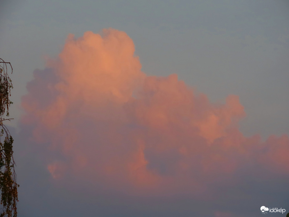 Rózsaszínbe öltözött gomolyok