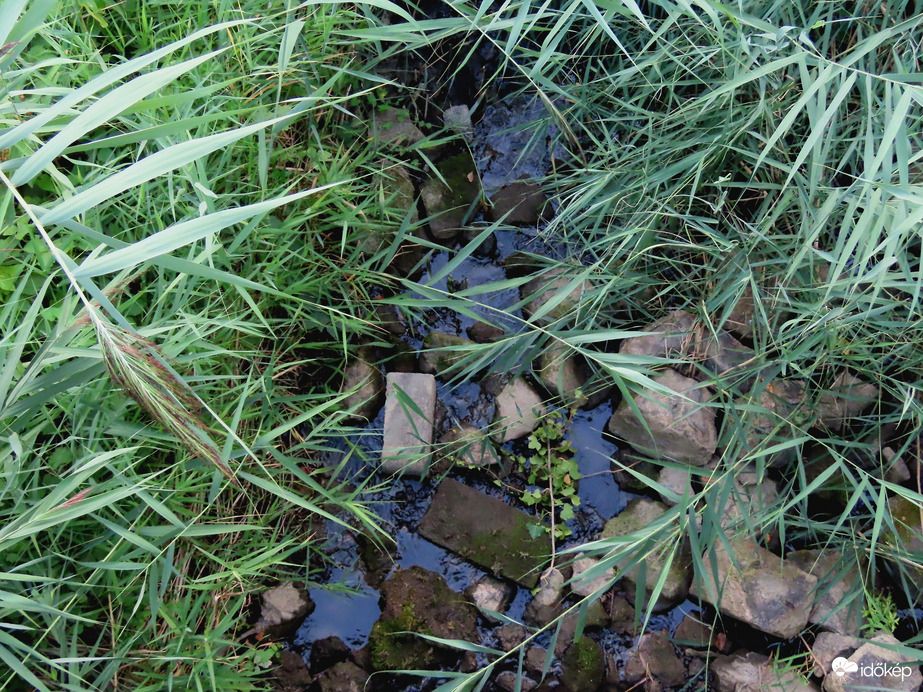 Alig van víz az Aranypatakban