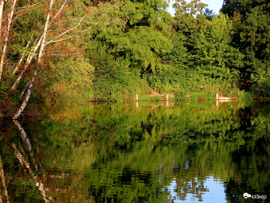 Nyár végi reggel a Horgásztónál