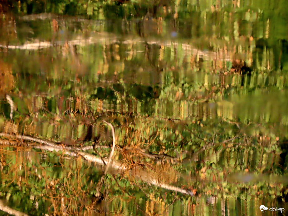 Víz és fák alkotása