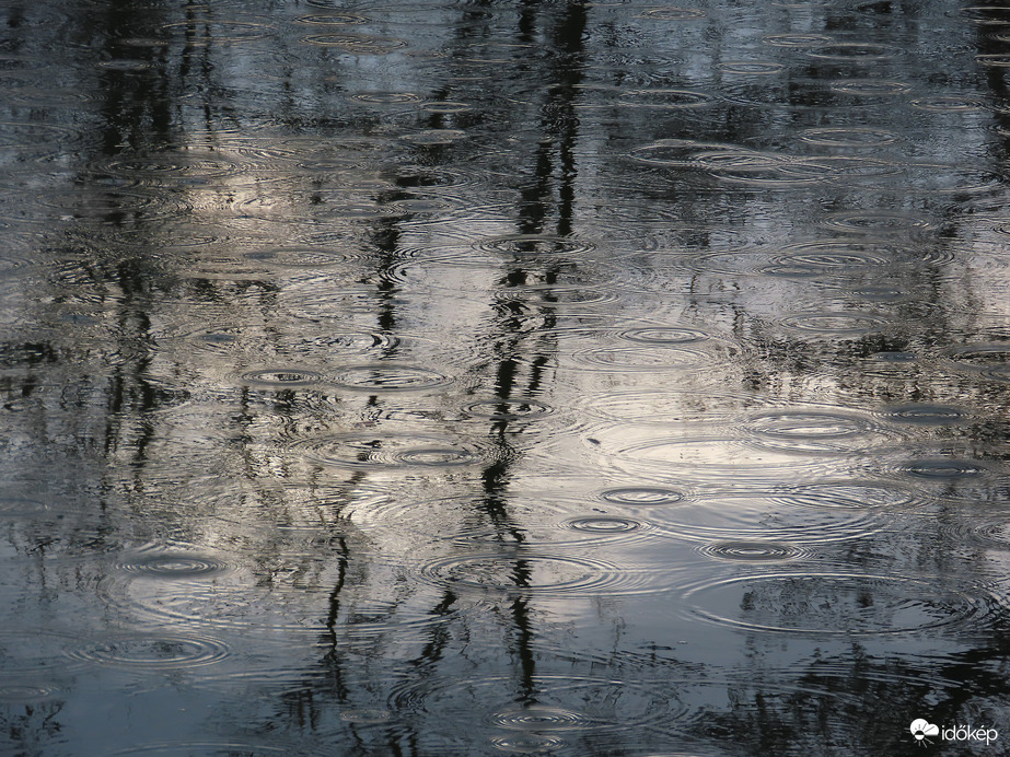 Egyre jobban "rázendített"