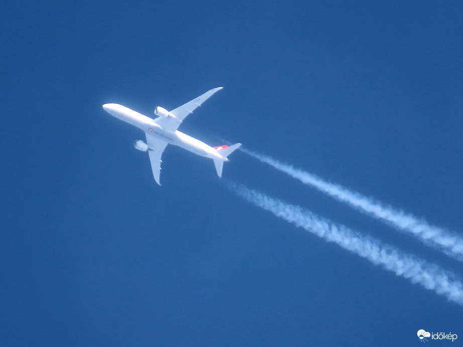 Magasba törő gépmadár