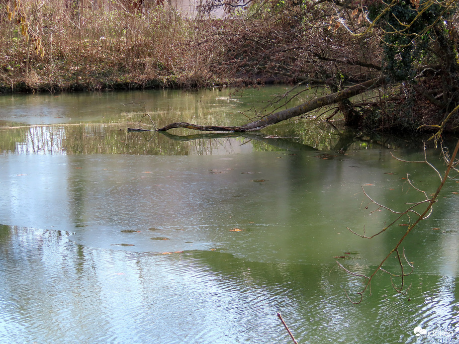 Hártyásodott a Horgásztó vize