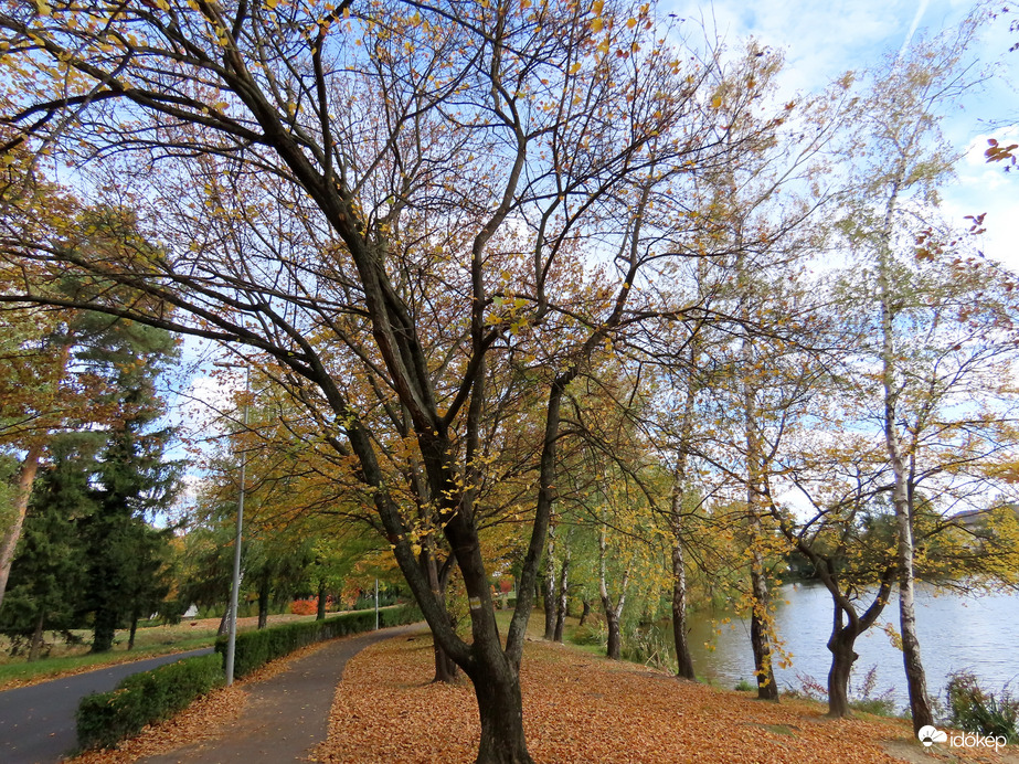 Néhány szeles nap és nem marad levél a fákon