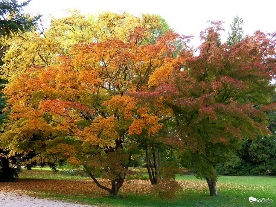 Színek a Csónakázó-tó szigetén