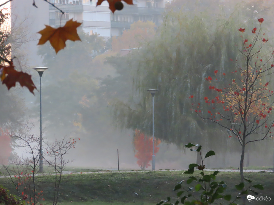 Köd ereszkedett a tájra