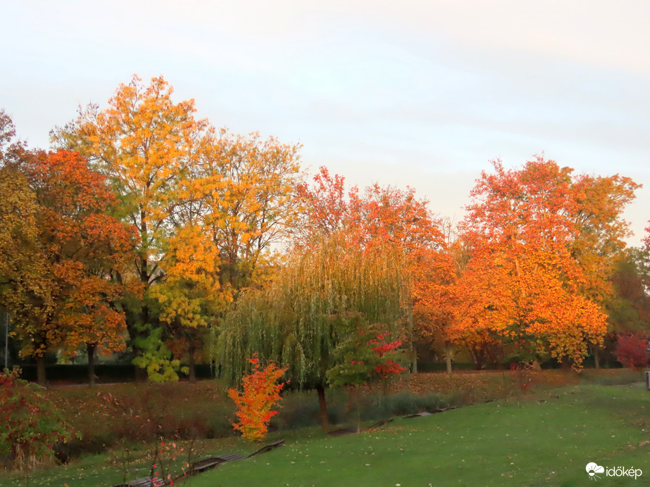 Patakpart a napkelte fényében