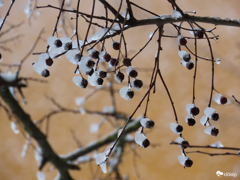 Ostorfa termései jégsapkában