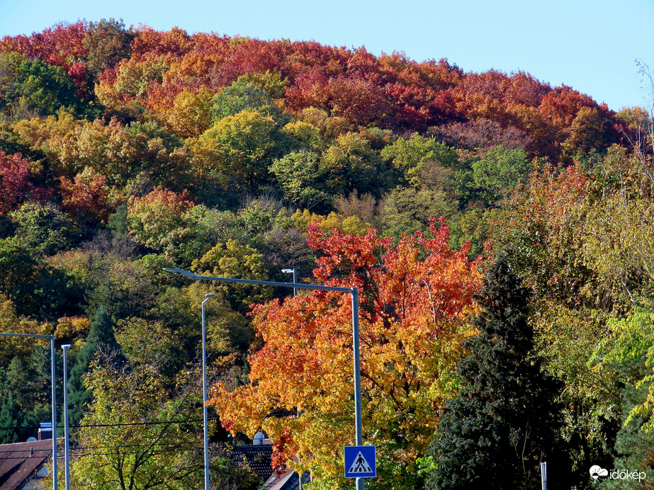 Az ősz színei a domboldalon