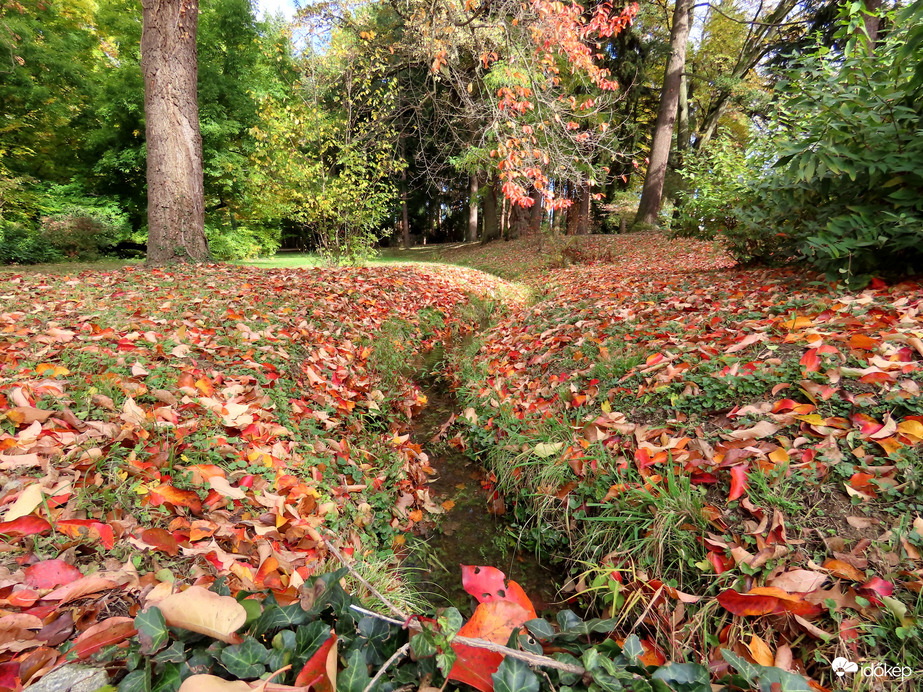 Őszi délután a Kámoni Arborétumban
