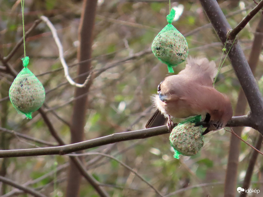 Kitekeredve is tudok enni!