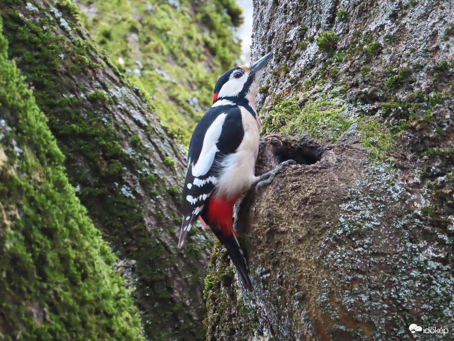 Vajon mi lehet a lyukban?
