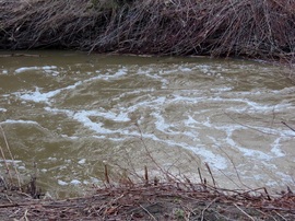 Habosan rohanó víz