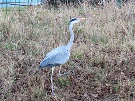 Sietek fel a patakpart tetejére!