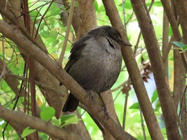 Megzavartál! Már majdnem szunyókáltam!