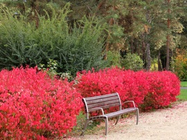 Hangulatos pihenőhely