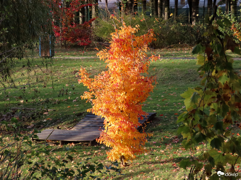 Szikrázik a fényben