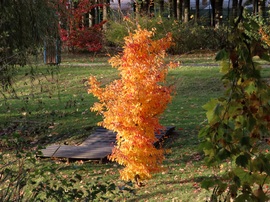 Szikrázik a fényben