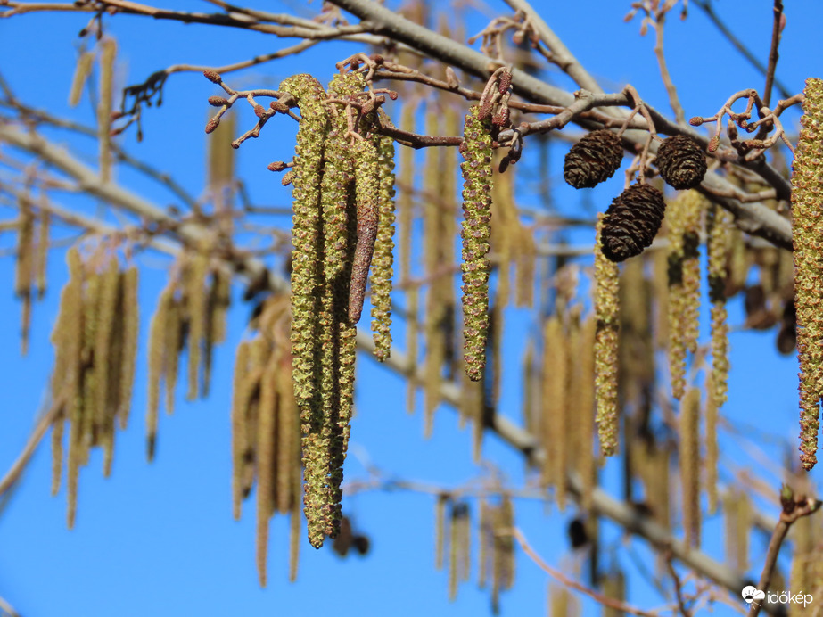 Barka minden mennyiségben