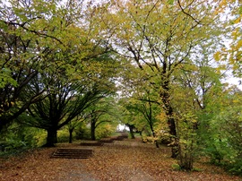 Lépcsősor vezet a dombtetőre