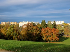 Kitekintés az őszi színekbe öltözött városra