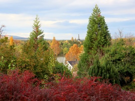 A Csónakázó-tó fentről alig látszik