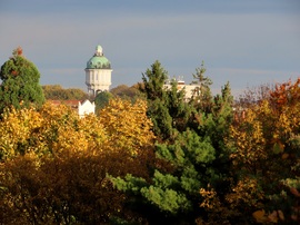 Kitekintés az őszi színekbe öltözött városra