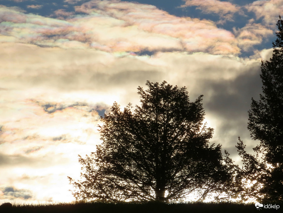 Fák a dombtetőn színes felhőkkel