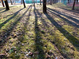 Hosszúra nyúlt árnyékok