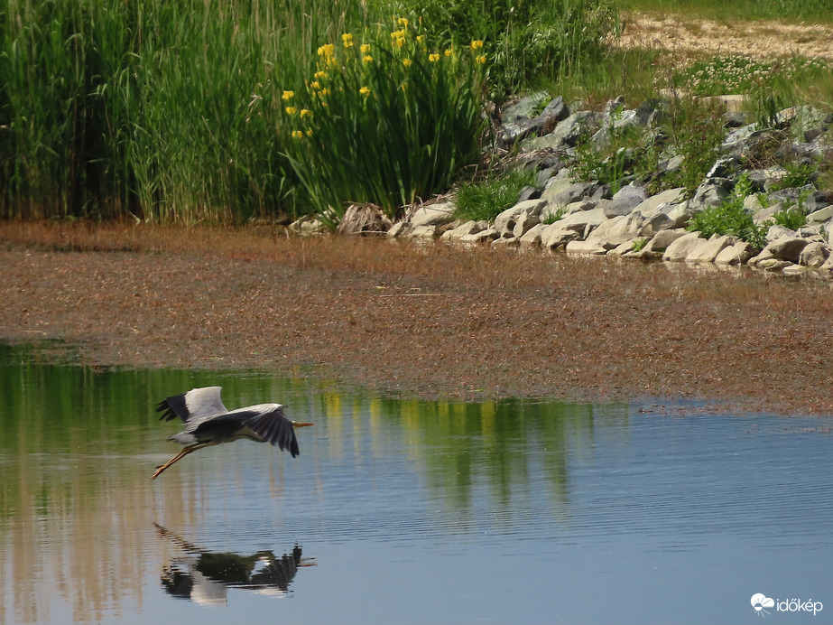 Látom magam a víz tükrében!