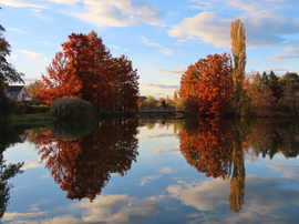 Visszaérve a tóhoz ez a látvány fogadott