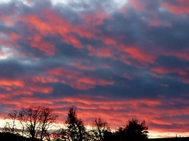 Hazafelé felnéztem az égre