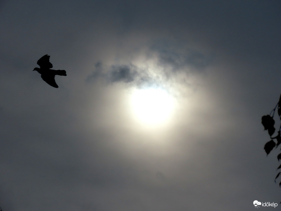 Sejtelmes délelőtti fények