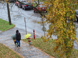 Esősen indult a nap