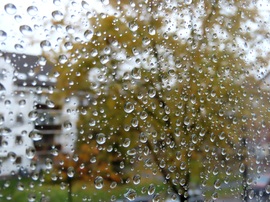 Esősen indult a nap