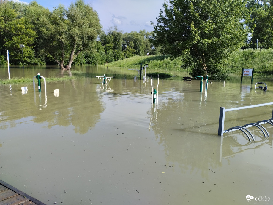 Vizes sportok