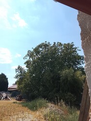 Kápolnásnyék