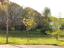 Budapest IV.ker - Káposztásmegyer