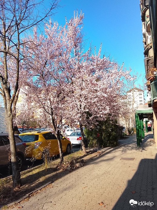 Budapest IV.ker - Káposztásmegyer