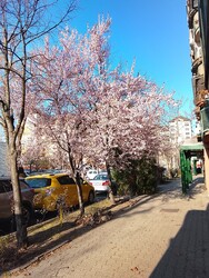 Budapest IV.ker - Káposztásmegyer