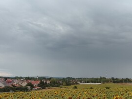 Hernádkak
