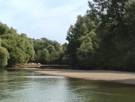 Gesztely
