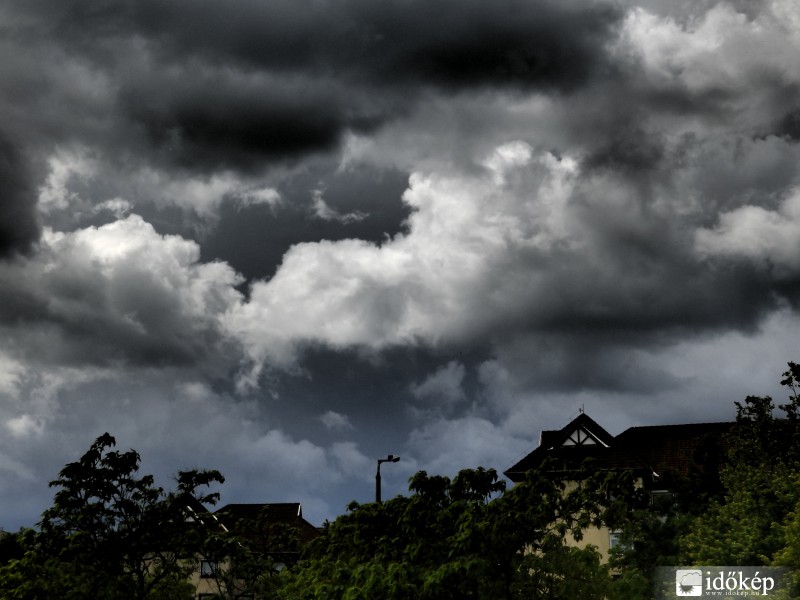 Délutáni kavargás