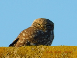 Még egy kicsit álmos vagyok.