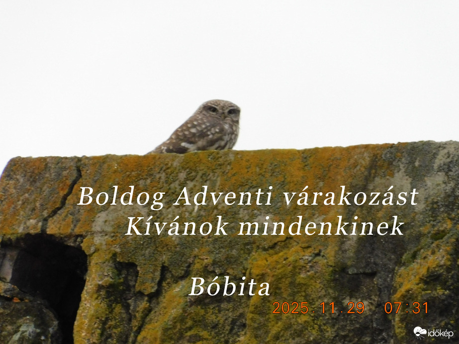 Már én is készülök az Advent első naojára. Kedves szomszédom, neked is kellemes Adventi várakozást.