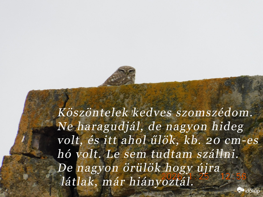 Bóbita már nem fázik.